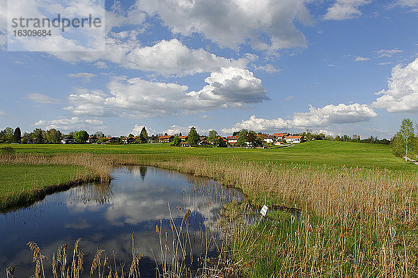 Deutschland  Ansicht einer Landschaft mit Häusern im Hintergrund  bei Uffing am Staffelsee