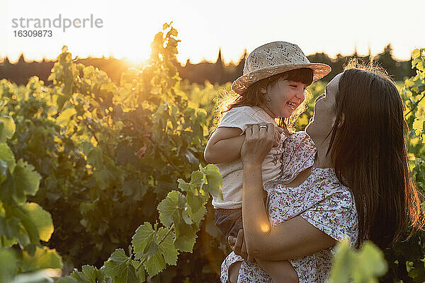 Mutter und kleine Tochter in einem Weinberg bei Sonnenuntergang in der Provence  Frankreich