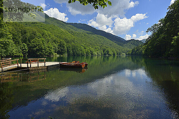 Montenegro  Crna Gora  Biogradsko-See im Nationalpark Biogradsko Jezero