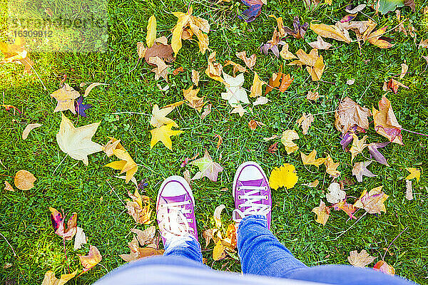 Füße einer Frau  die inmitten von Herbstblättern auf einer Wiese im Park steht