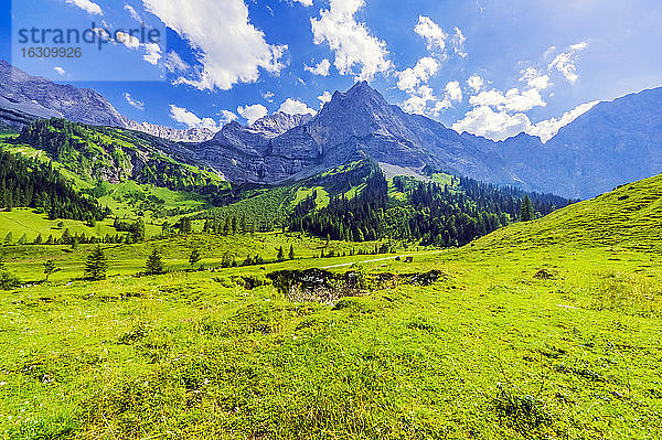 Österreich  Tirol  Vomp  Blick auf das grüne Unterinntal im Sommer