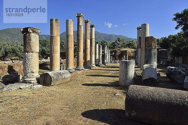 Türkei  Provinz Aydin  Karien  antike Agora in der archäologischen Stätte von Nysa