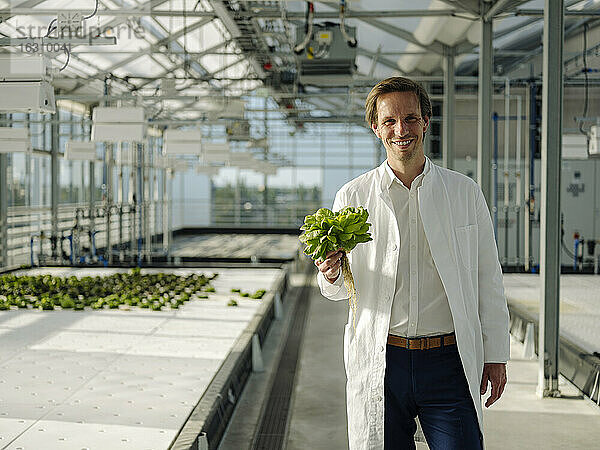 Porträt eines lächelnden Wissenschaftlers mit Salat in einem Gewächshaus