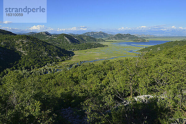 Montenegro  Crna Gora  Skutari  Blick über den Nationalpark Skadar See