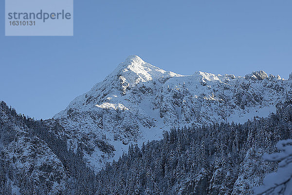 Deutschland  Bayern  Schneebedeckter Berg Zwiesel in den Chiemgauer Alpen