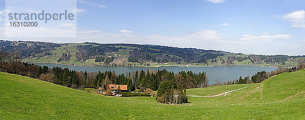 Deutschland  Oberbayern  Schwaben  Allgäu  Blick auf den Alpsee bei Immenstadt