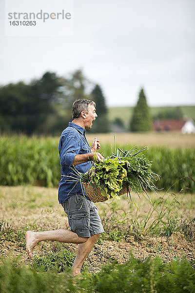 Fröhlicher Mann  der auf einem Bauernhof läuft und einen Gemüsekorb hält