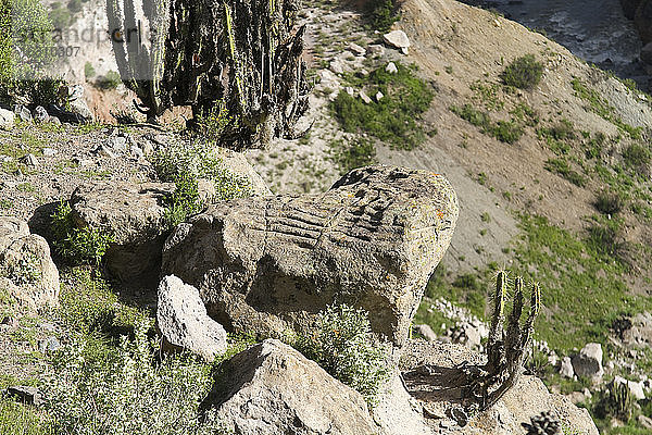 Südamerika  Peru  Anden  In Stein gemeißeltes Modell der Terrassenfelder im Colca-Canyon