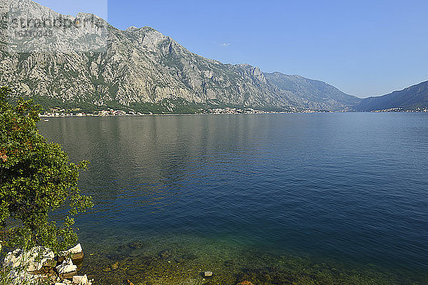 Montenegro  Crna Gora  Kotor  Blick über die Bucht