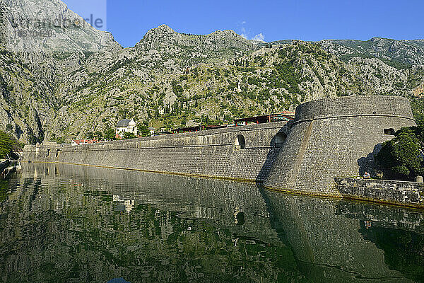 Montenegro  Crna Gora  Kotor  Stadtmauer am Fluss Skurda