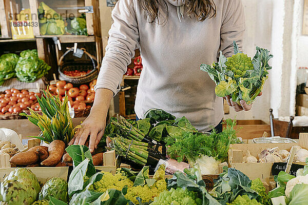 Frau pflückt frisches  gesundes Gemüse im Laden