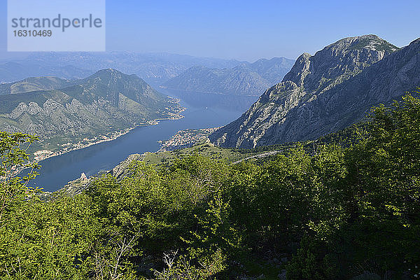 Montenegro  Crna Gora  Kotor  Blick über die Bucht