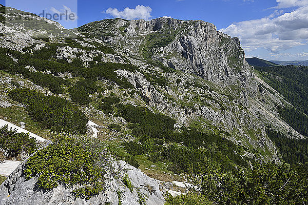 Montenegro  Crna Gora  Gipfel Crvena Greda  Durmitor-Nationalpark