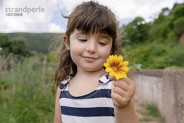 Niedliches Mädchen  das eine Blume betrachtet  während es im Freien steht