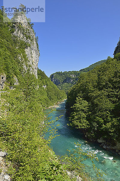 Montenegro  Crna Gora  Durmitor-Nationalpark  Fluss Tara