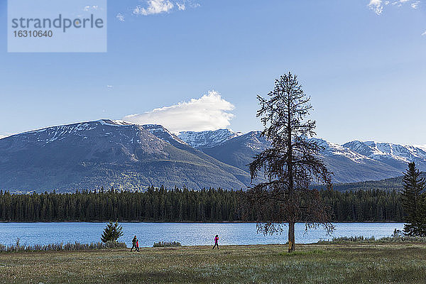 Kanada  Alberta  Jasper-Nationalpark  Anette-See