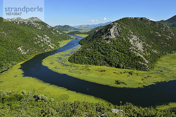 Montenegro  Crna Gora  große Schleife des Flusses Rijeka Crnojevica  Nationalpark Skadar See