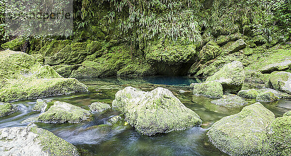 Neuseeland  Kahurangi National Park  Te Puna o Riuwaka  Quelle des Wassers