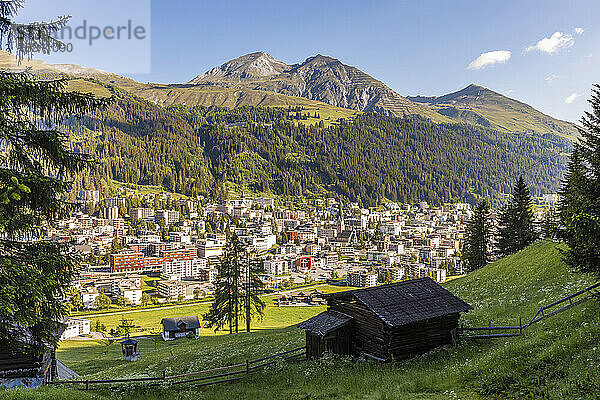 Schweiz  Kanton Graubünden  Davos  Stadt im bewaldeten Tal der Rätischen Alpen im Sommer