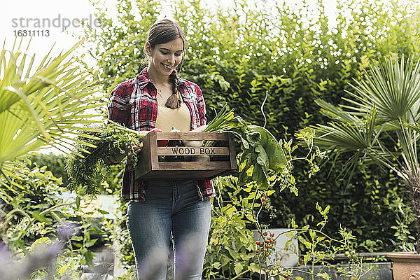 Lächelnde junge Frau trägt Gemüse in einer Kiste  während sie inmitten von Pflanzen im Garten steht