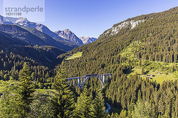Panoramablick auf das Langwieser Viadukt und die bewaldeten Plessur Alpen im Sommer