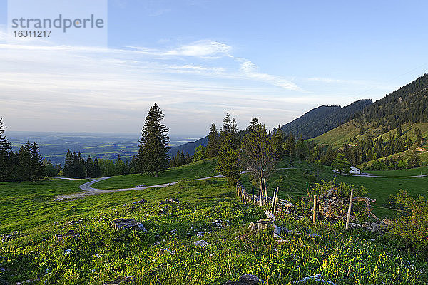 Deutschland  Bayern  Oberbayern  Chiemgauer Alpen  Samerberg  Hochriesgebiet bei Grainbach