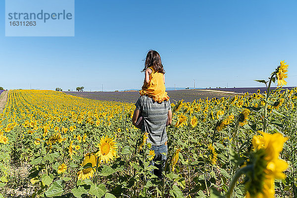 Vater trägt Tochter auf den Schultern in einem Sonnenblumenfeld gegen den klaren Himmel