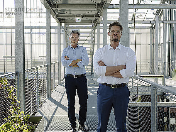Selbstbewusste männliche Kollegen mit verschränkten Armen stehen auf einem Steg in einer Gärtnerei