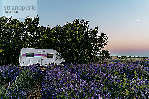 Wohnmobil bei Sonnenaufgang neben einem Lavendelfeld geparkt