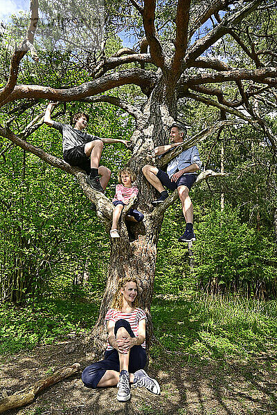 Familie sitzt entspannt auf einem Baum im Wald
