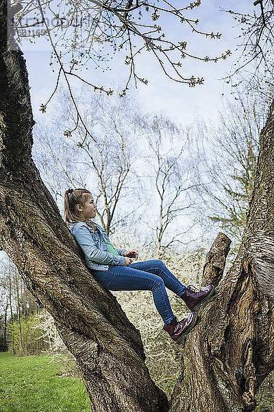 Mädchen steht auf einem Baumstamm in einem öffentlichen Park