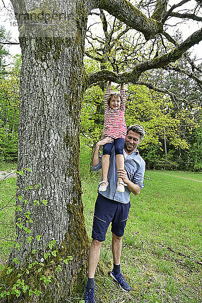 Vater hilft verspielter Tochter  sich im Wald an einen Ast zu hängen