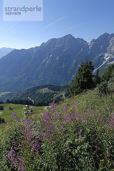 Deutschland  Bayern  Oberbayern  Alpen  Berchtesgadener Land  Hoher Göll und Freieck an der Rossfeldstraße