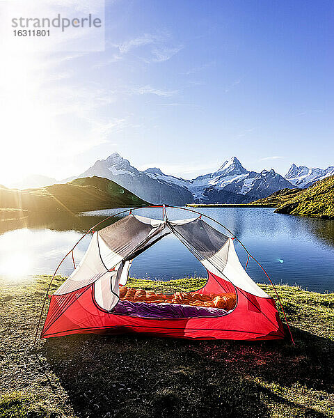 Zelt am Ufer des Bachalpsees bei Sonnenaufgang aufgeschlagen