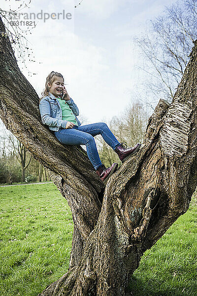 Lächelndes Mädchen  das mit seinem Smartphone spricht und sich über einen Baumstamm im Park lehnt
