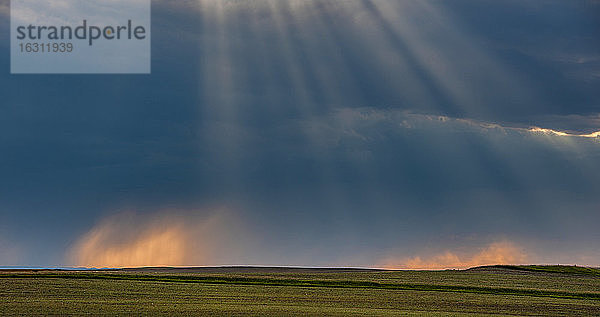 USA  South Dakota  Sturmwolken bei Sonnenuntergang über der Prärie