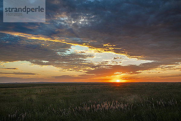USA  South Dakota  Prärie-Rasenplatz bei Sonnenuntergang