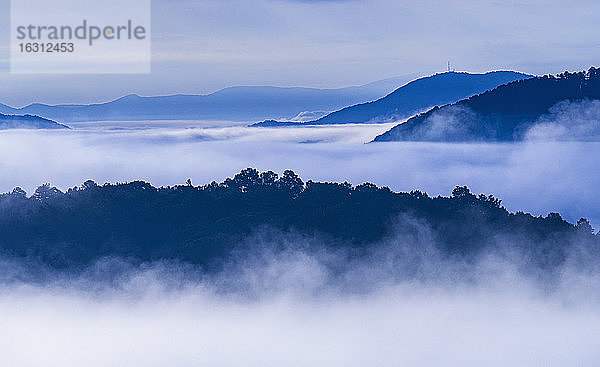 USA  Georgia  Nebel und Wolken über Wald und Blue Ridge Mountains bei Sonnenaufgang