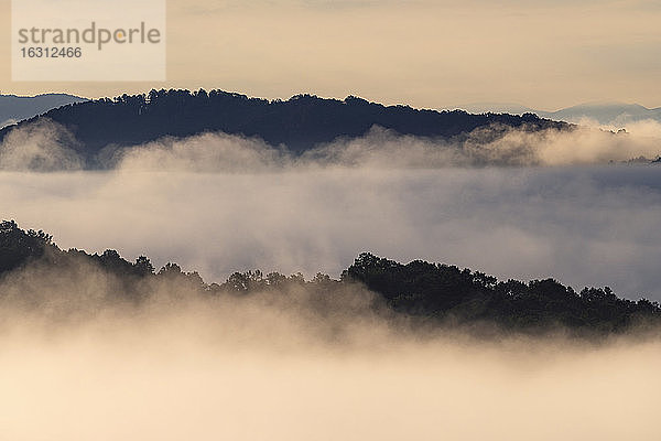USA  Georgia  Nebel und Wolken über Wald und Blue Ridge Mountains bei Sonnenaufgang