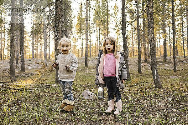 Porträt von zwei Mädchen (2-3  4-5) im Wald stehend  Wasatch Cache National Forest