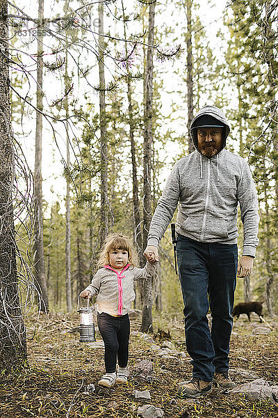 Vater mit Tochter (2-3) beim Waldspaziergang  Wasatch-Cache National Forest