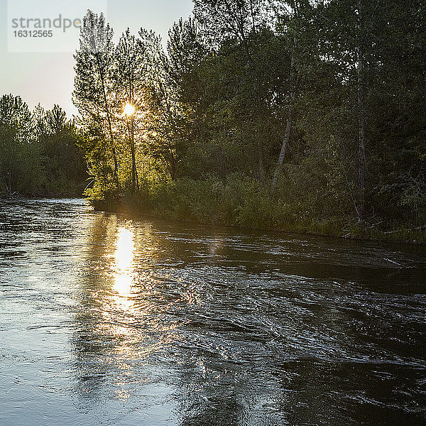 USA  Idaho  Boise  Sonnenuntergang über Wald und Fluss