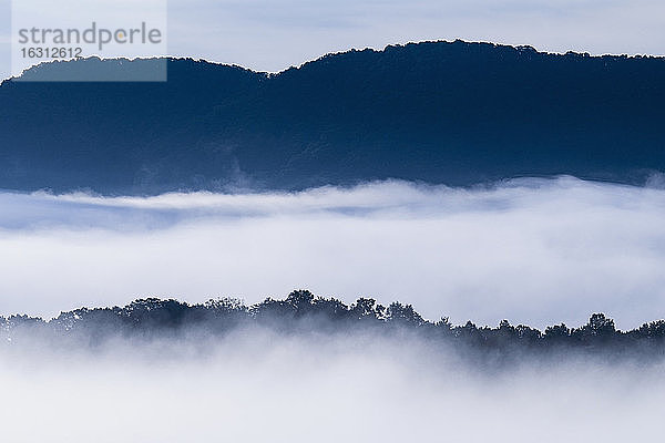 USA  Georgia  Nebel und Wolken über Wald und Blue Ridge Mountains bei Sonnenaufgang