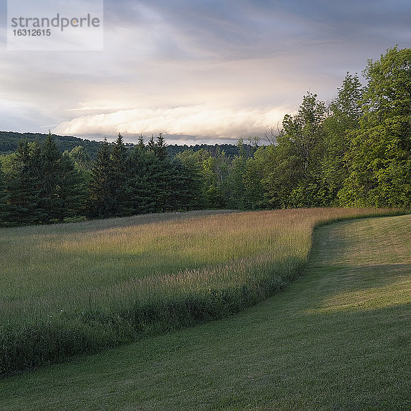 USA  New York  Cooperstown  Sonnenuntergang über Wiese und Wald