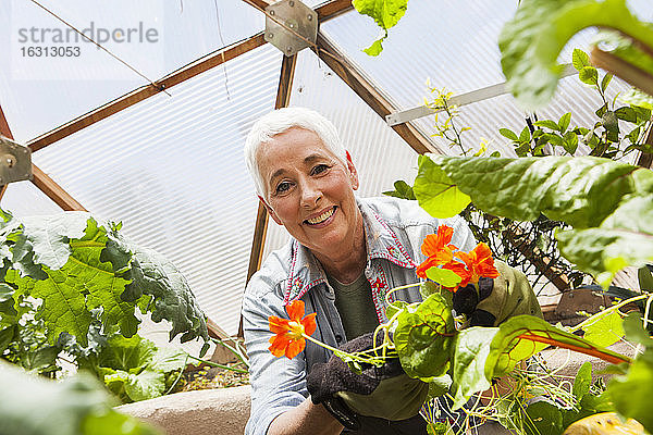 Lächelnde ältere Frau gärtnert in einer geodätischen Kuppel  klimatisiertes Glashaus
