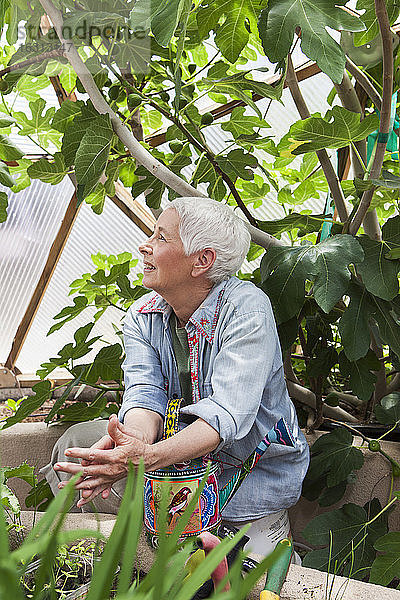 Lächelnde ältere Frau gärtnert in einer geodätischen Kuppel  klimatisiertes Glashaus