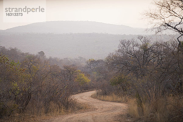 Blick entlang der kurvenreichen Landstraße  Südliches Afrika.