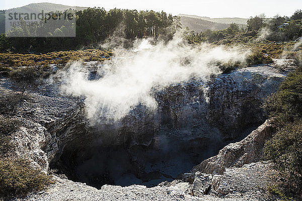 Blick in einen Krater mit geothermischem Hitzedampf  der aus dem Wasser aufsteigt