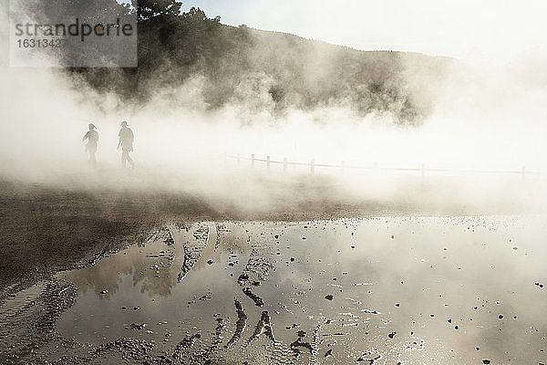 Thermalbecken mit Nebel  der aus den beheizten Wasserbecken aufsteigt
