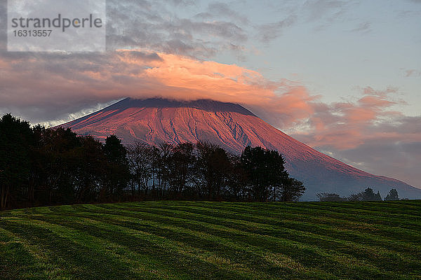 Präfektur Shizuoka  Japan